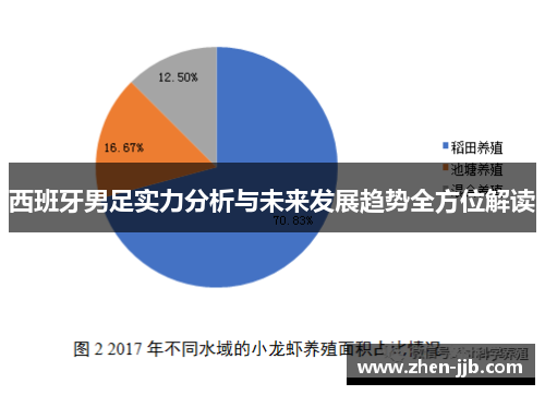 西班牙男足实力分析与未来发展趋势全方位解读