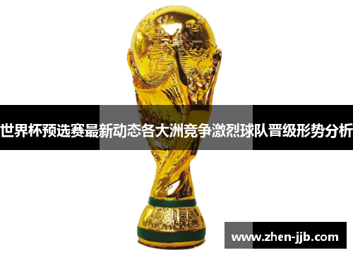 世界杯预选赛最新动态各大洲竞争激烈球队晋级形势分析 世界杯预选赛最新动态各大洲竞争激烈球队晋级形势分析